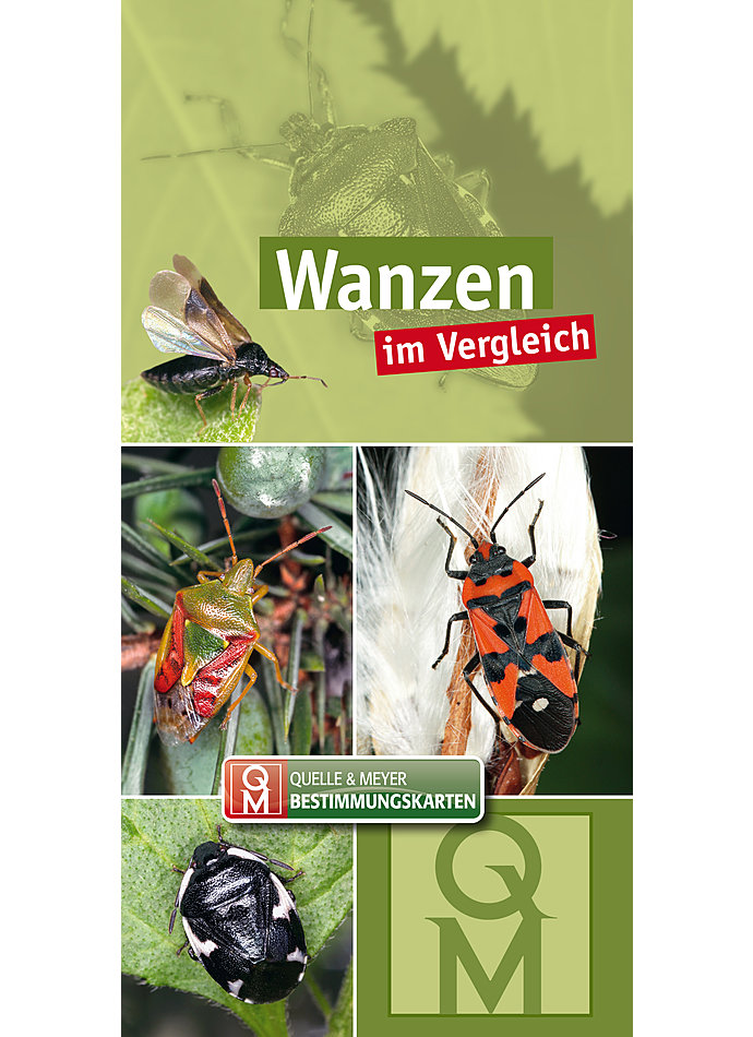 WANZEN IM VERGLEICH BESTIMMUNGSKARTEN 10ER SET