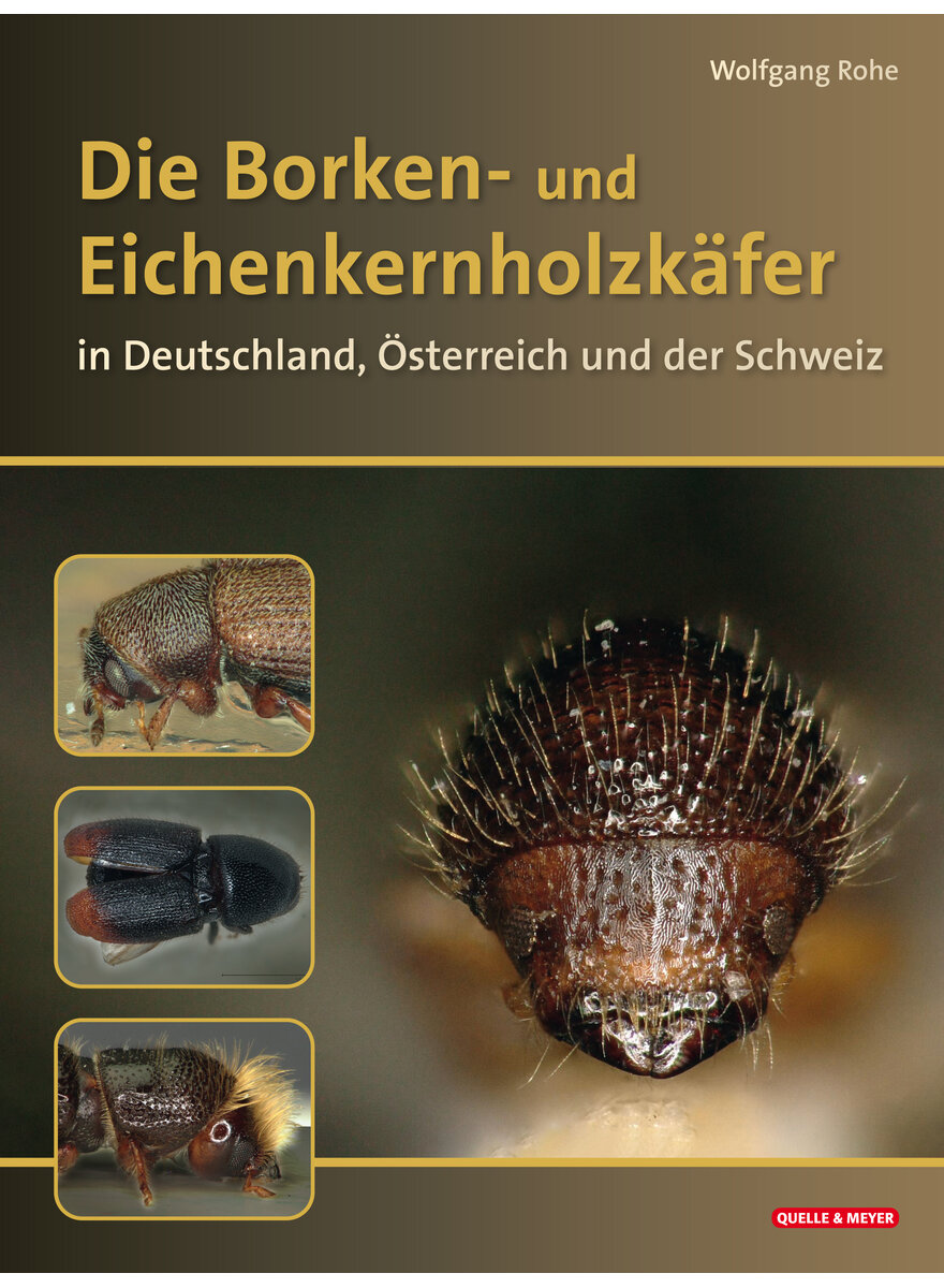 Auf diesem Bild sehen Sie das Produktbild 1 fr ROHE, DIE BORKEN- U. EICHEN- KERNHOLZKFER IN D, A UND CH