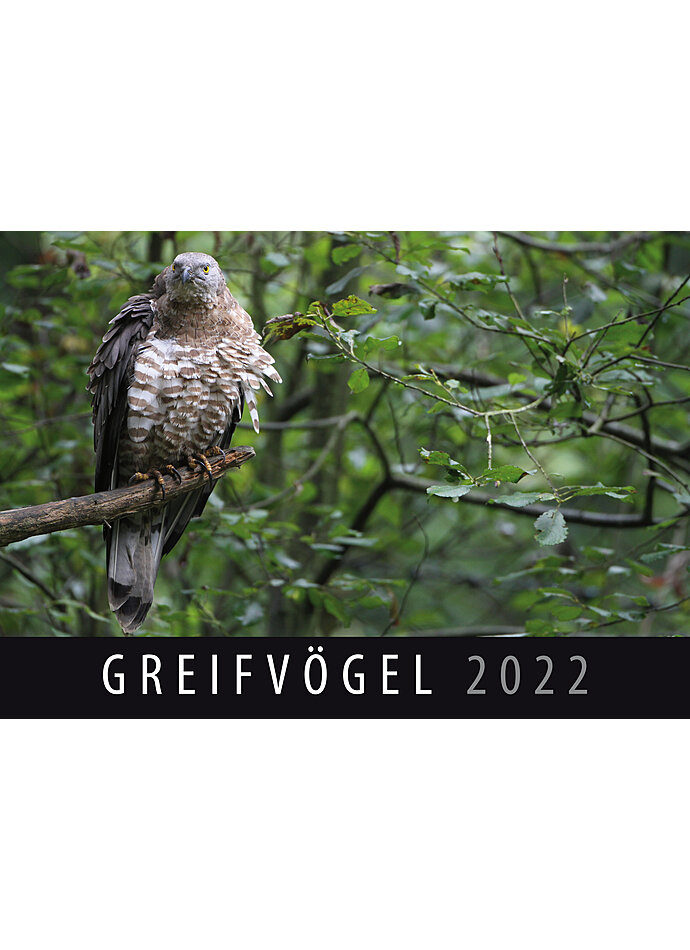 WANDKALENDER GREIFVGEL 2022