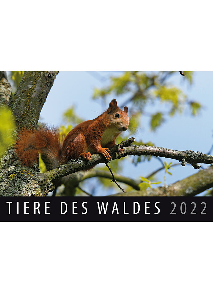 WANDKALENDER TIERE DES WALDES 2022