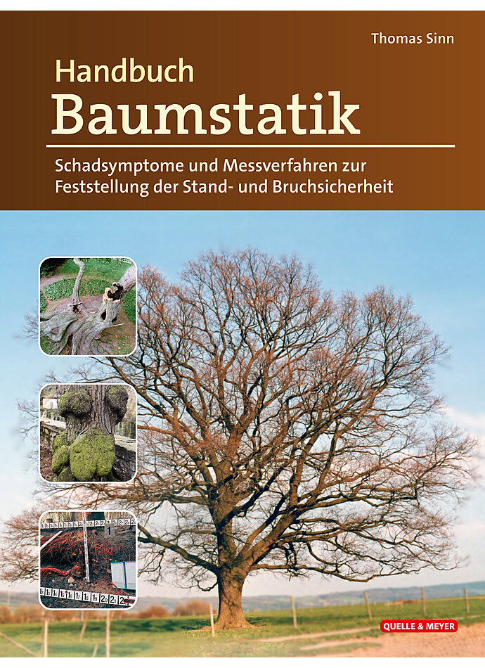 SINN, HANDBUCH BAUMSTATIK