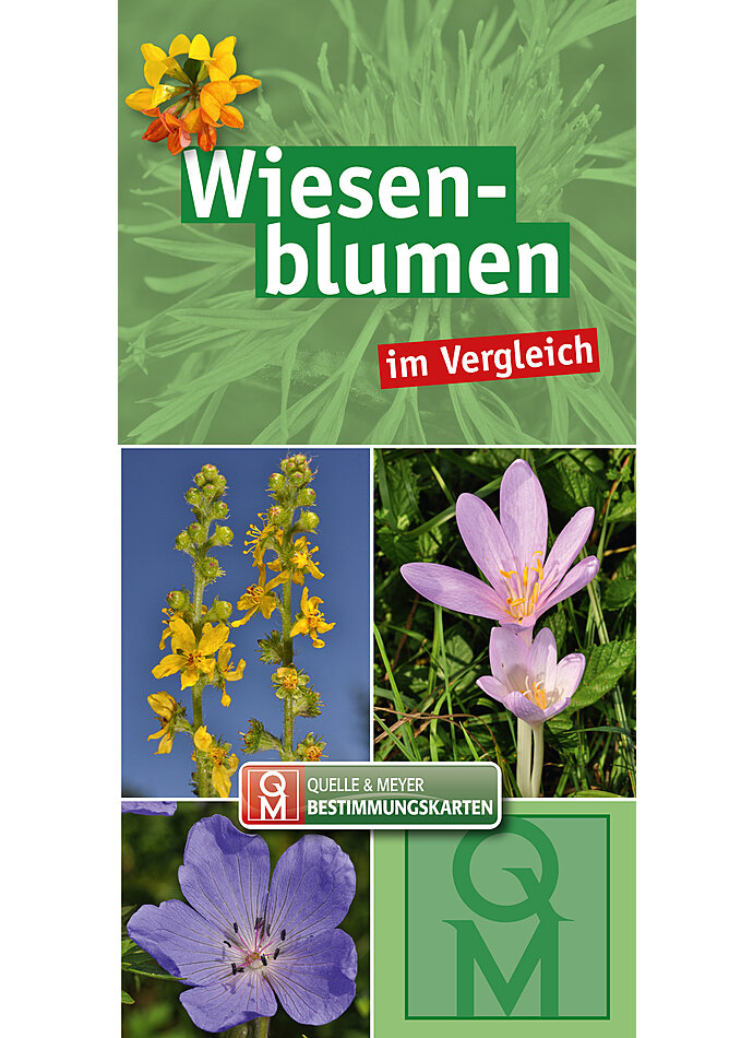 WIESENBLUMEN IM VERGLEICH BESTIMMUNGSKARTE