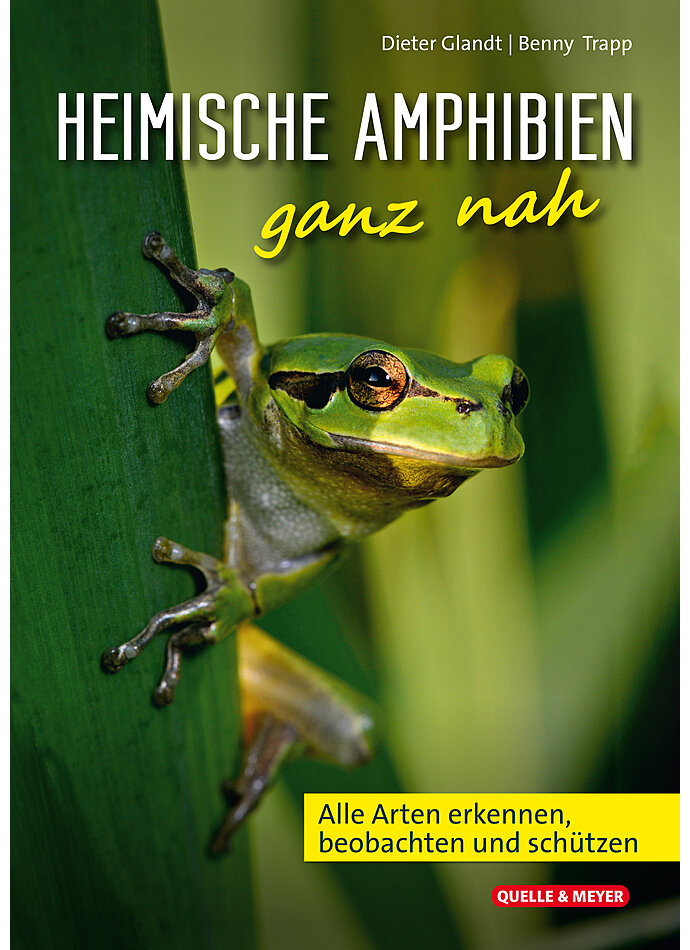 Auf diesem Bild sehen Sie das Produktbild 1 fr GLANDT/TRAPP, HEIMISCHE AMPHIBIEN GANZ NAH 2. AUFLAGE