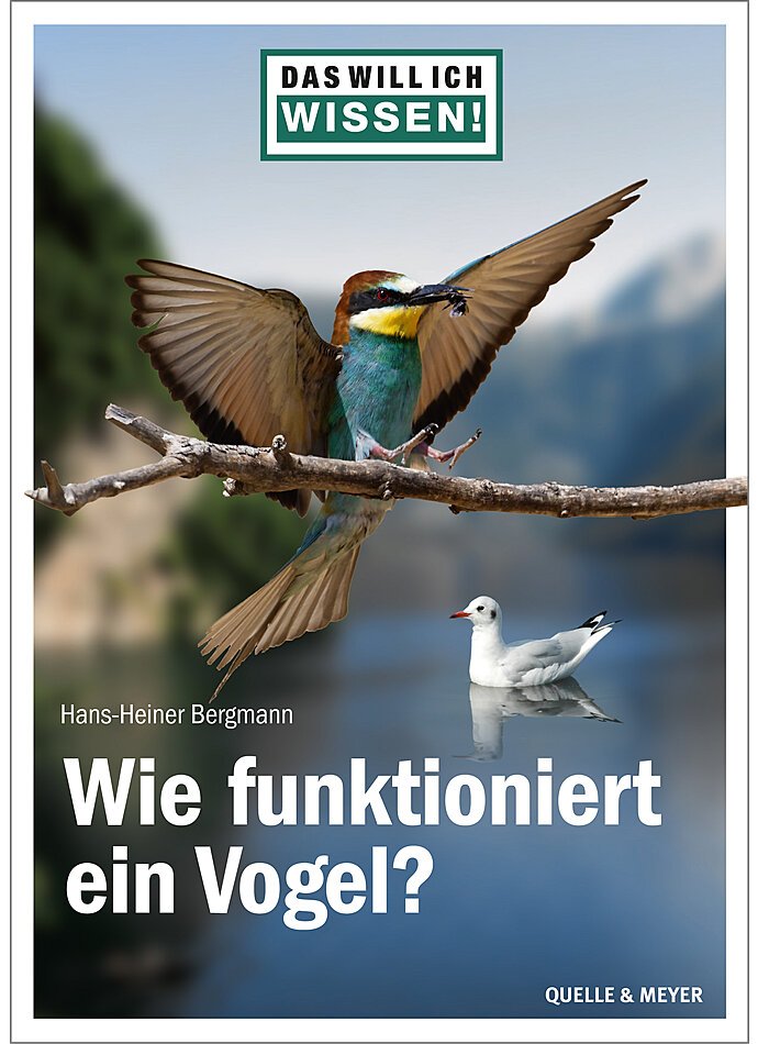 BERGMANN, DAS WILL ICH WISSEN! WIE FUNKTIONIERT EIN VOGEL?