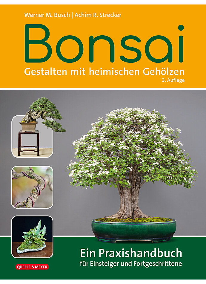 Auf diesem Bild sehen Sie das Produktbild 1 fr BUSCH/STRECKER, BONSAI - GESTALTEN MIT HEIMISCHEN GEHLZEN     3. AUFLAGE