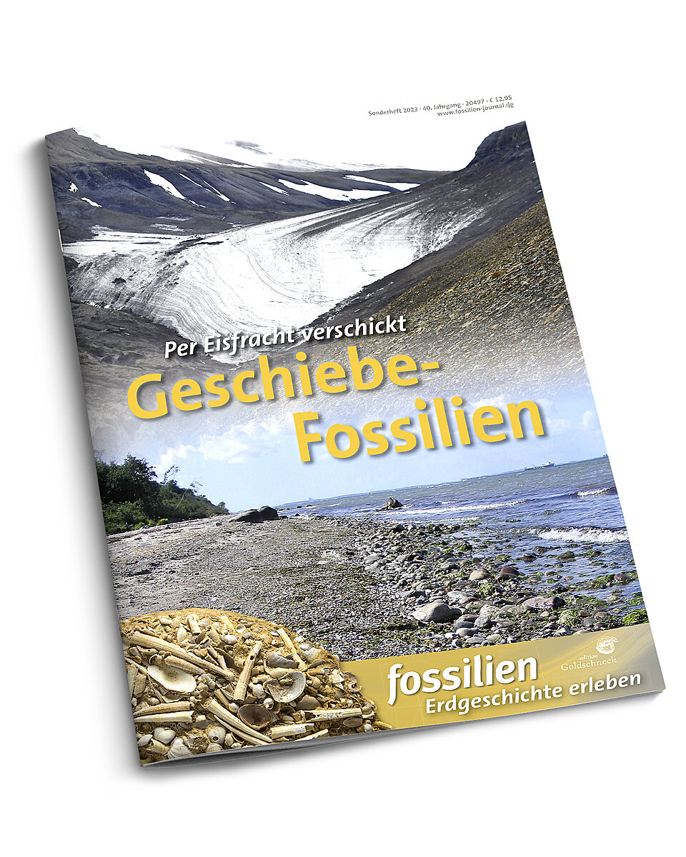 FOSSILIEN SONDERHEFT 2023 GESCHIEBE-FOSSILIEN