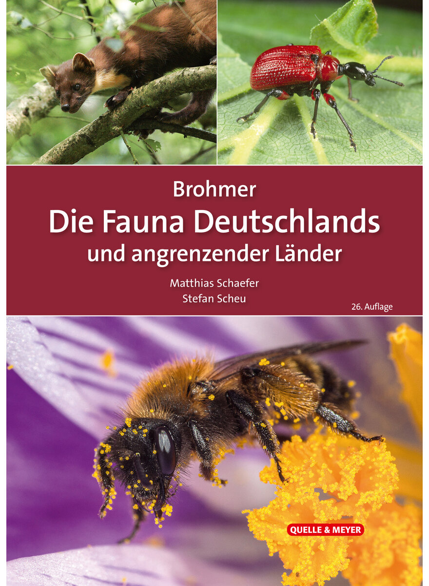 Auf diesem Bild sehen Sie das Produktbild 1 fr BROHMER, DIE FAUNA DEUTSCHLANDS UND ANGRENZENDER LNDER        26. AUFLAGE 2024