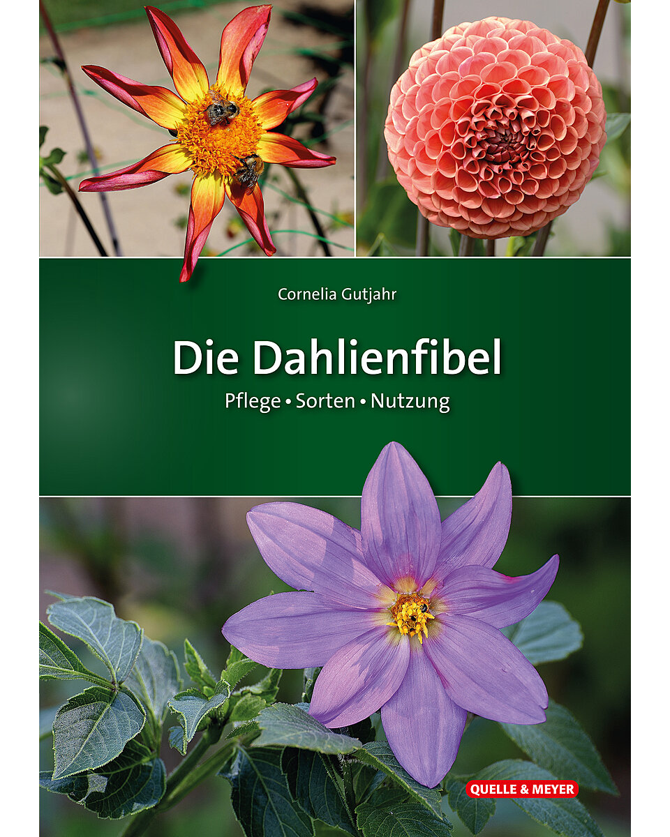 Auf diesem Bild sehen Sie das Produktbild 1 fr GUTJAHR, DIE DAHLIENFIBEL
