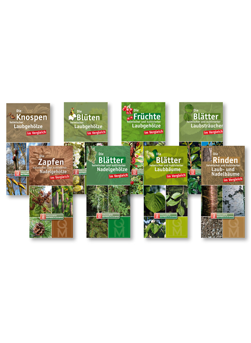 Auf diesem Bild sehen Sie das Produktbild 1 fr BUME UND STRUCHER 8 BESTIMMUNGSKARTEN IM SET