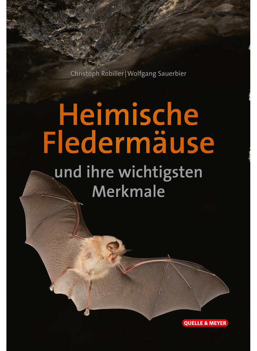 HEIMISCHE FLEDERMUSE UND IHRE WICHTIGSTEN MERKMALE BESTIMMUNGSKARTE