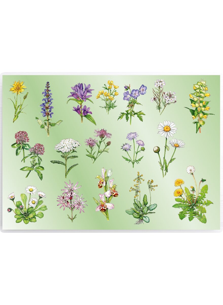 Auf diesem Bild sehen Sie das Produktbild 2 fr TISCHSET WIESENBLUMEN