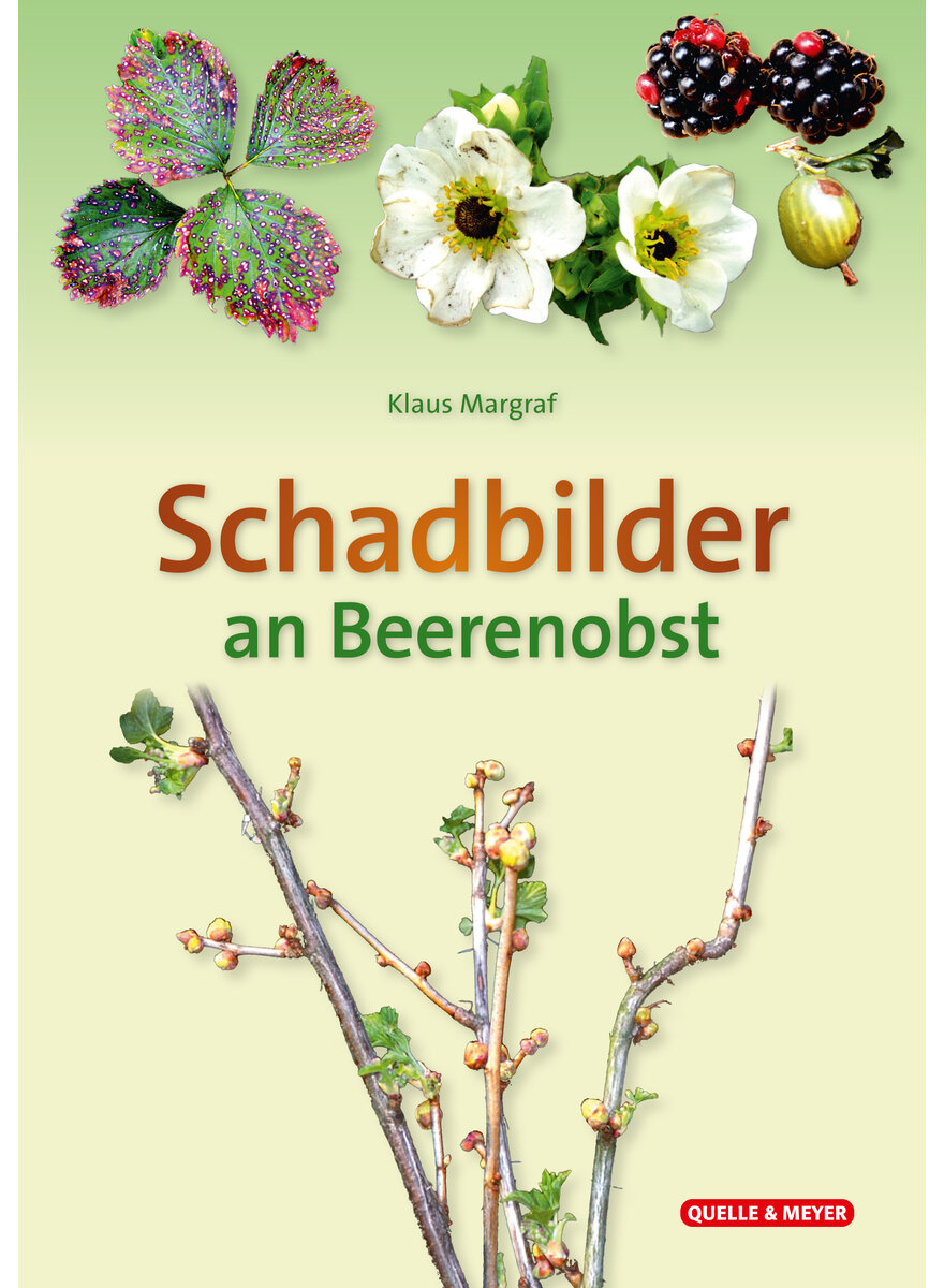 Auf diesem Bild sehen Sie das Produktbild 1 fr MAGRAF, SCHADBILDER AN BEERENOBST BESTIMMUNGSKARTE