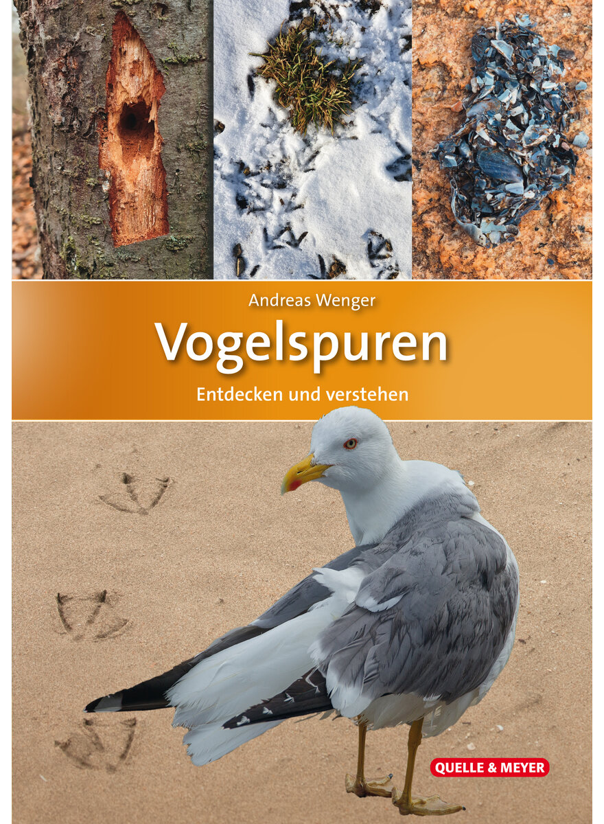 Auf diesem Bild sehen Sie das Produktbild 1 fr WENGER, GRUNDKURS VOGELSPUREN