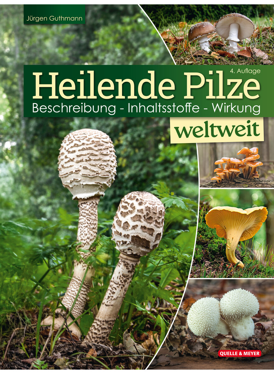 Auf diesem Bild sehen Sie das Produktbild 1 f�r GUTHMANN, HEILENDE PILZE WELTWEIT