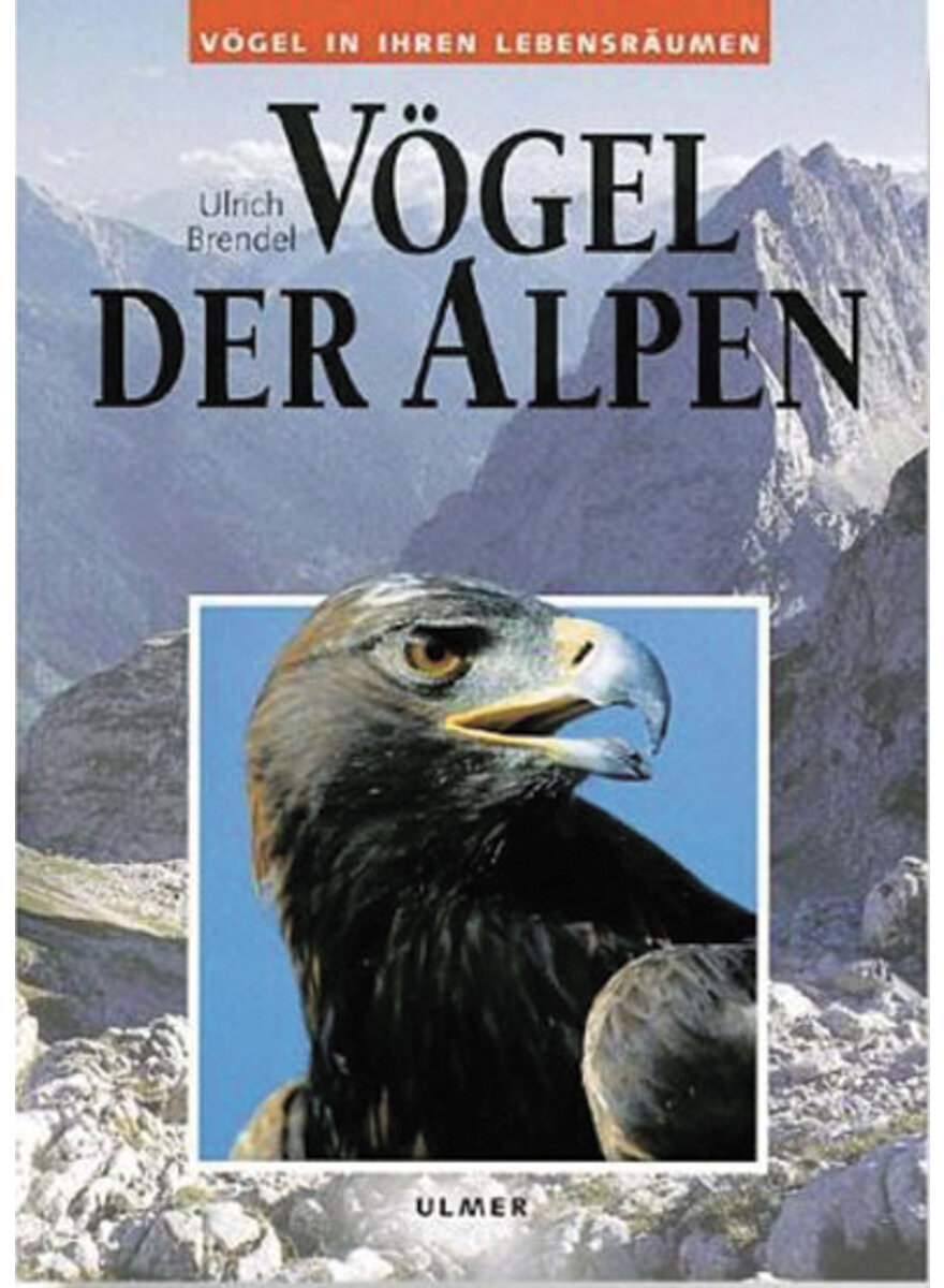 BRENDEL, VGEL DER ALPEN