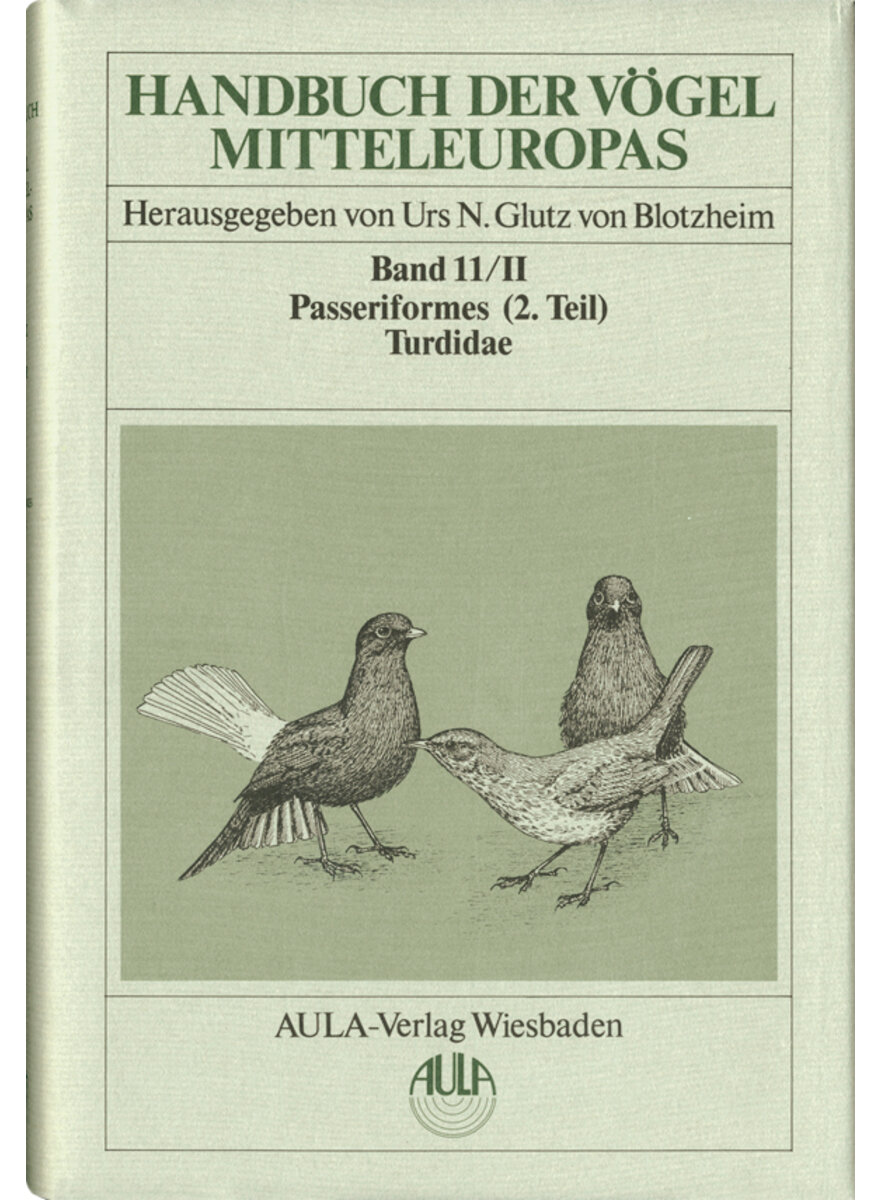 DROSSELVGEL  (HBV 11/II)  (M) ECHTE DROSSELN -