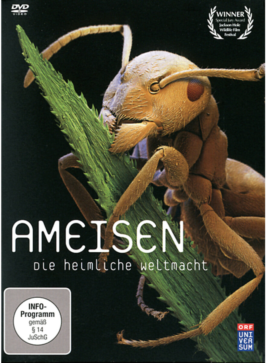 DVD-VIDEO: AMEISEN - DIE HEIMLICHE WELTMACHT