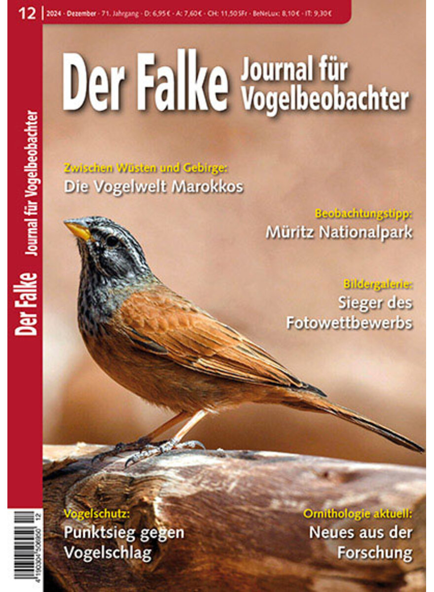 FALKE PROBEHEFT