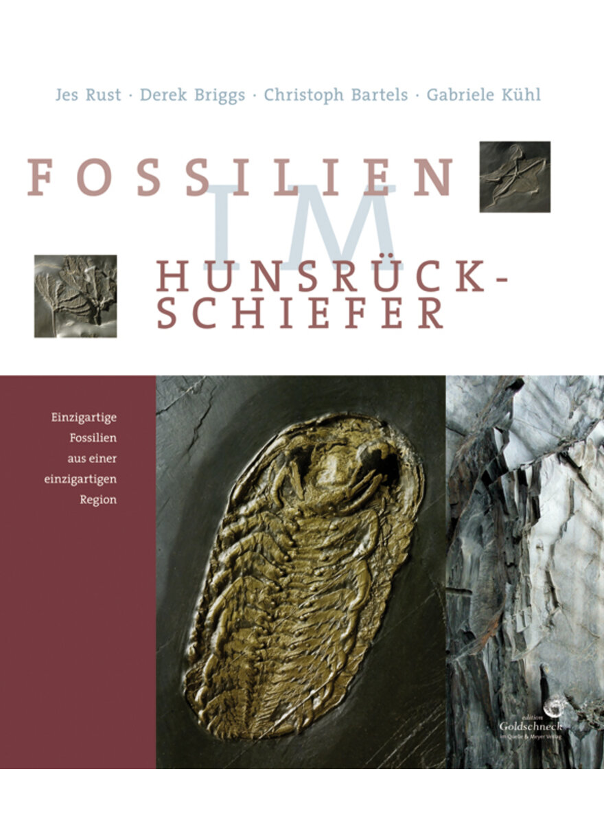 FOSSILIEN IM HUNSRCK-SCHIEFER - JES RUST