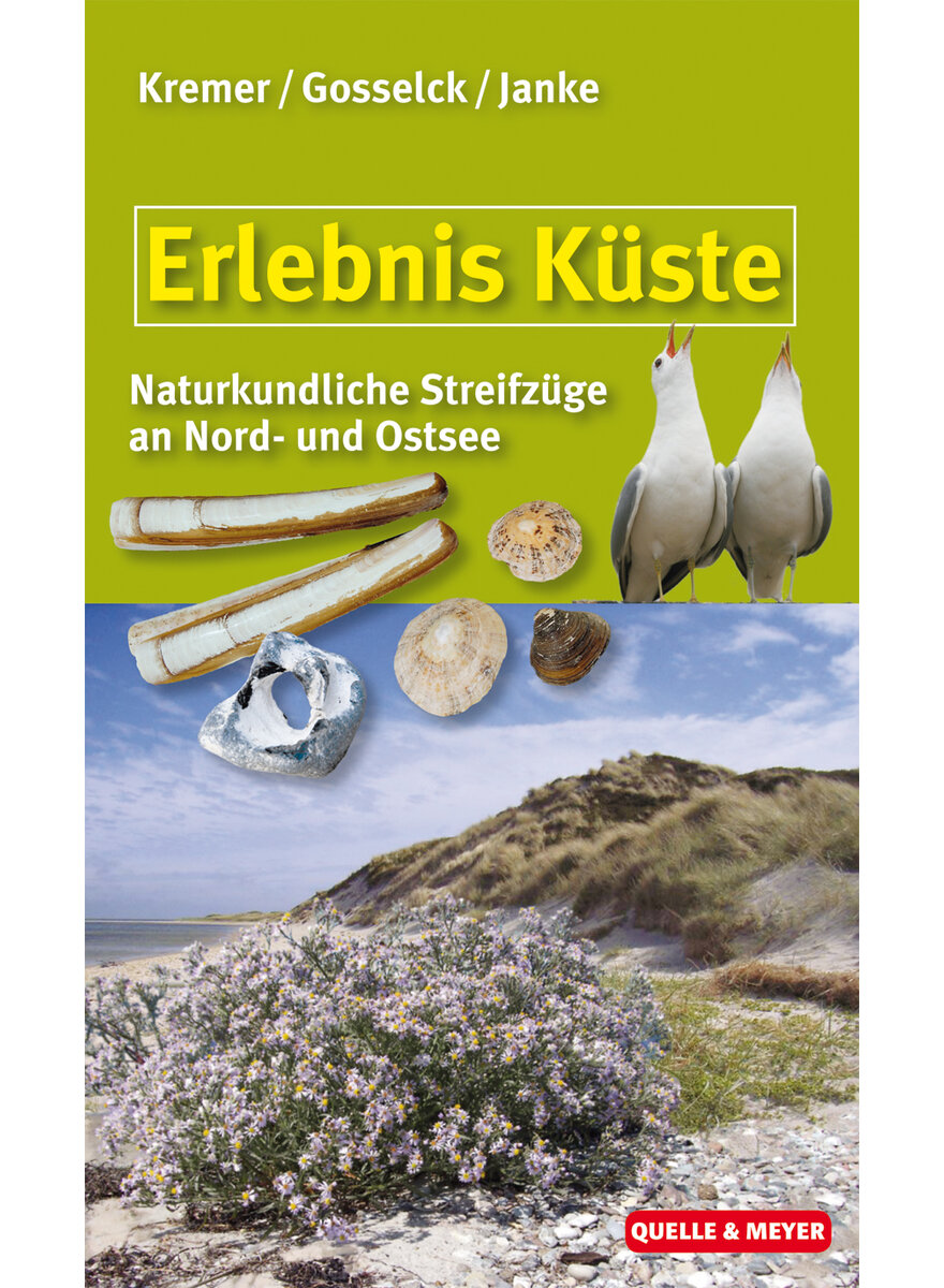 ERLEBNIS KSTE - BRUNO P. KREMER