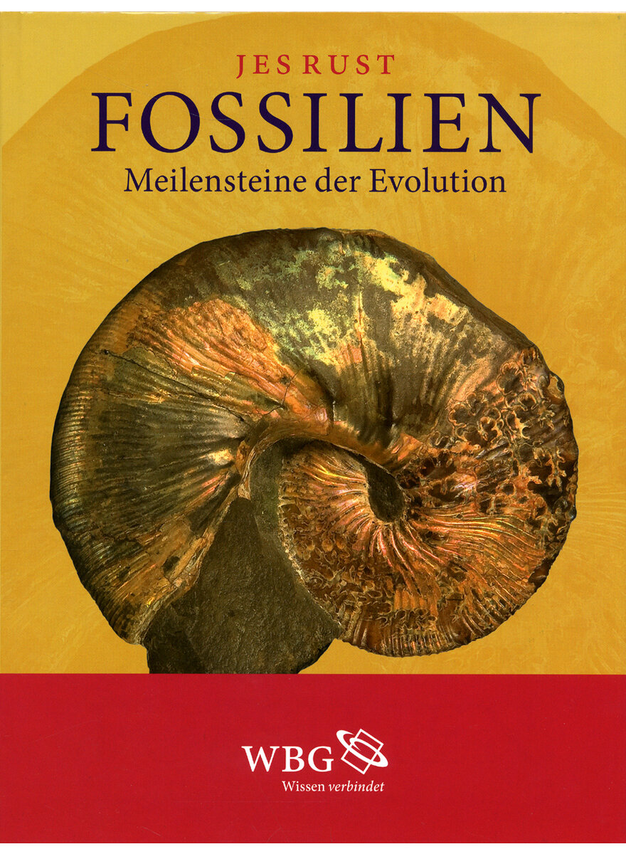 Auf diesem Bild sehen Sie das Produktbild 1 fr FOSSILIEN - JES RUST