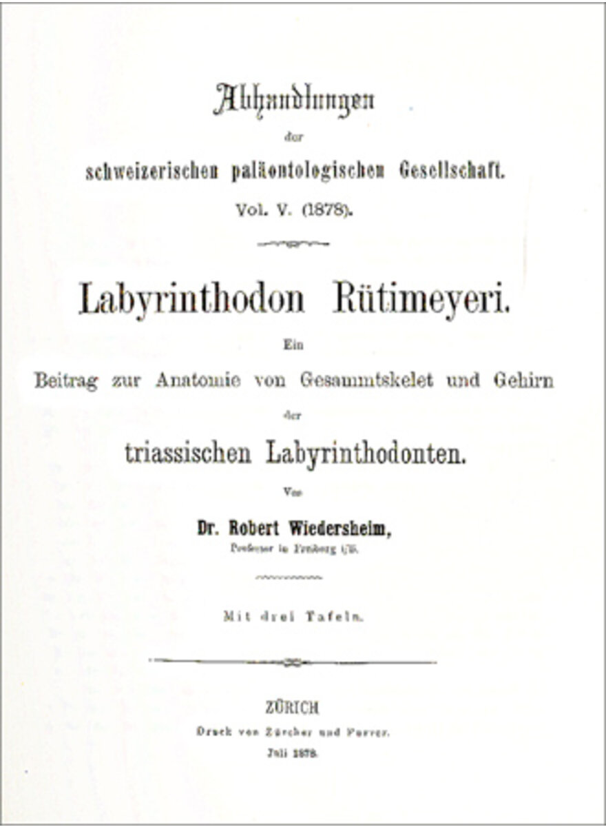 LABYRINTHODON RÜTIMEYERI 1878