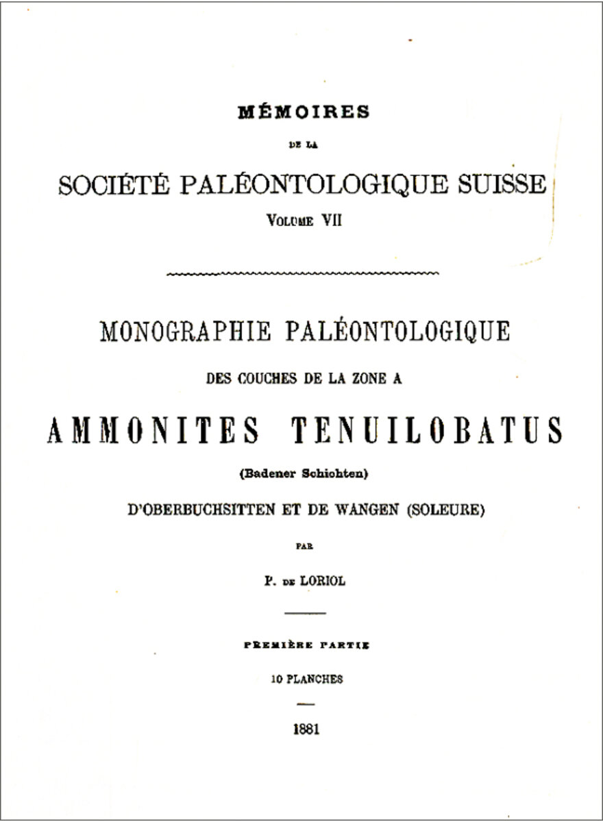 MONOGRAPHIE PALAEONTOLOGIQUE DE LA ZONE  AMMONITES 1881