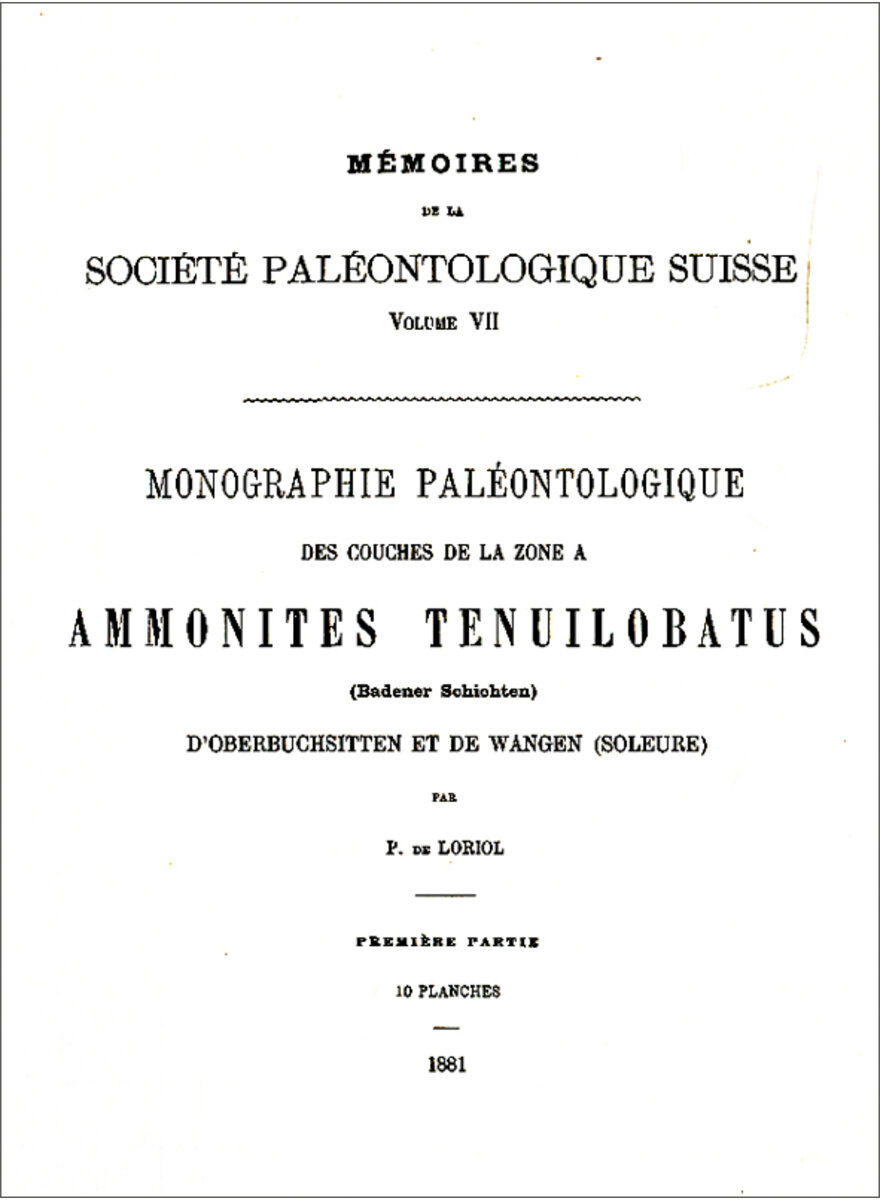 Auf diesem Bild sehen Sie das Produktbild 1 fr MONOGRAPHIE PALAEONTOLOGIQUE DE LA ZONE  AMMONITES 1881