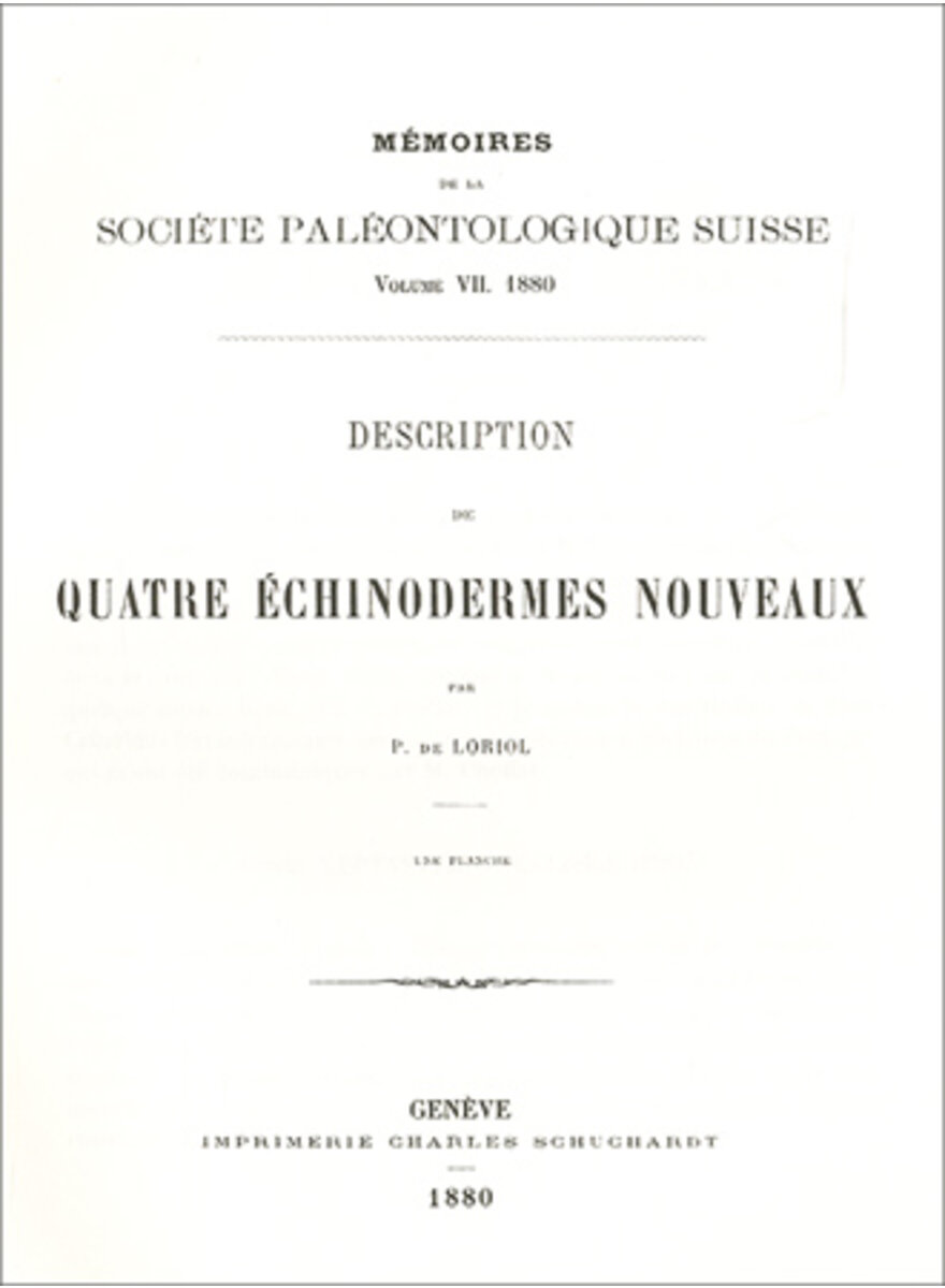 DESCRIPTION DE QUATRE ECHINODERMES NOUVEAUX 1880