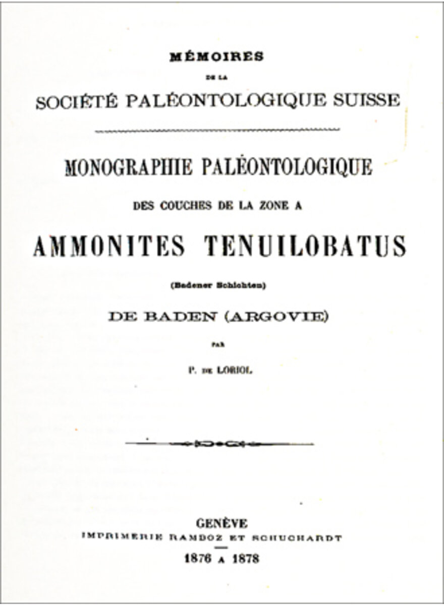MONOGRAPHIE PALAEONTOLOGIE DE LA ZONE  AMMONITES 1878