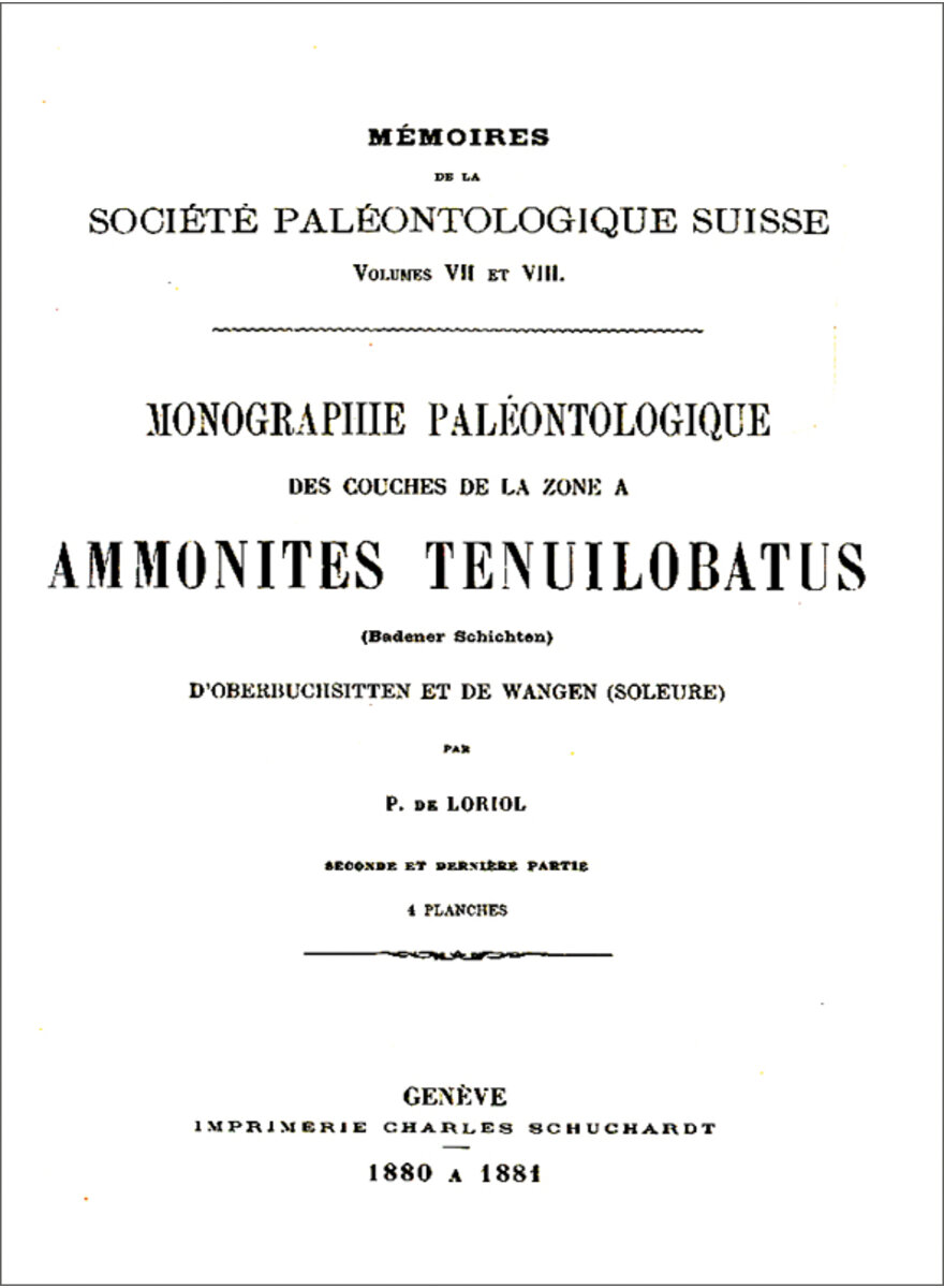 MONOGRAPHIE PALOEONTOLOGIQUE DE LA ZONE  AMMONITES 1881 (8-4)