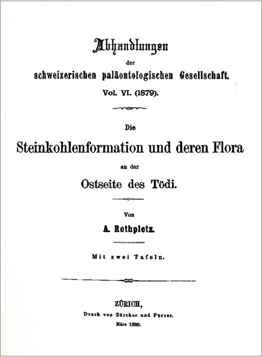DEI STEINKOHLENFORMATIONEN UND DEREN FLORA AN DER OSTSEITE DES TDI 1879 (6-4)