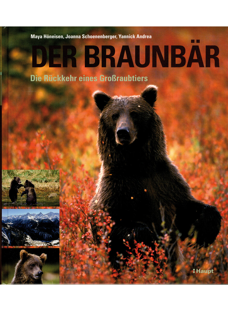 DER BRAUNBR - HNEISEN/SCHOENENBERGER/ANDREA