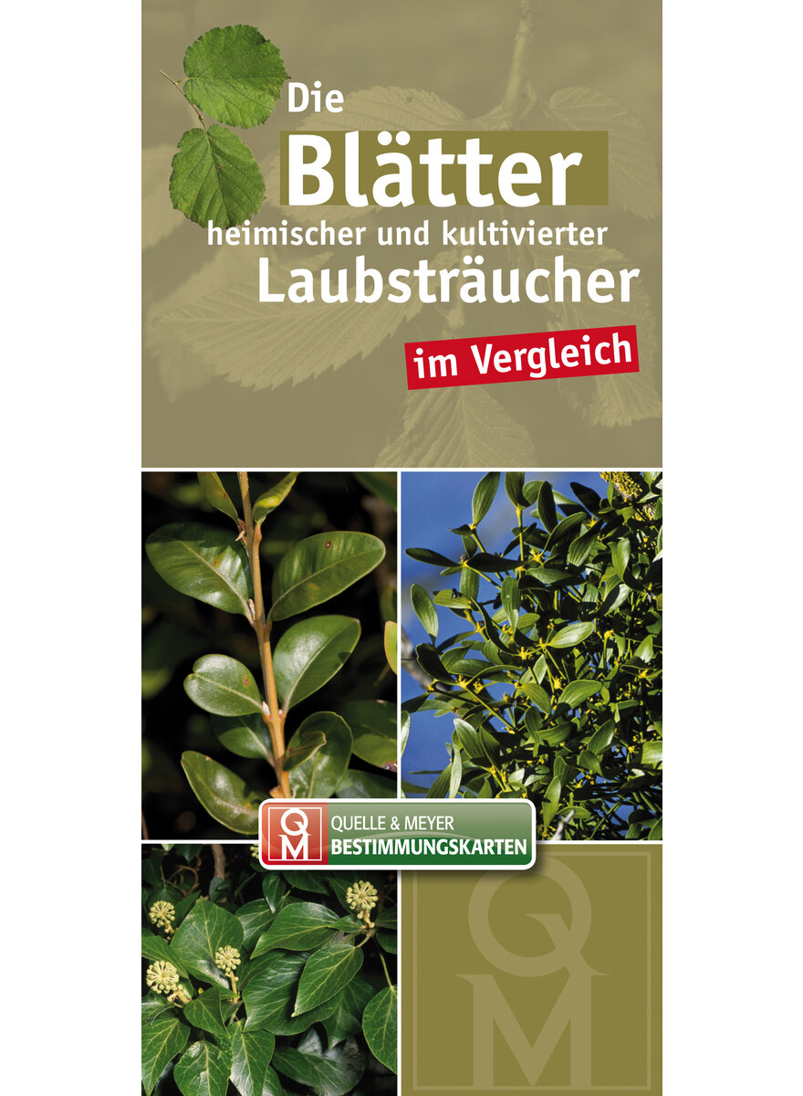 Auf diesem Bild sehen Sie das Produktbild 1 fr QUELLE & MEYER-BESTIMMUNGS- KARTEN: DIE BLTTER HEIMISCHER U. KULT. LAUBSTRUCHER