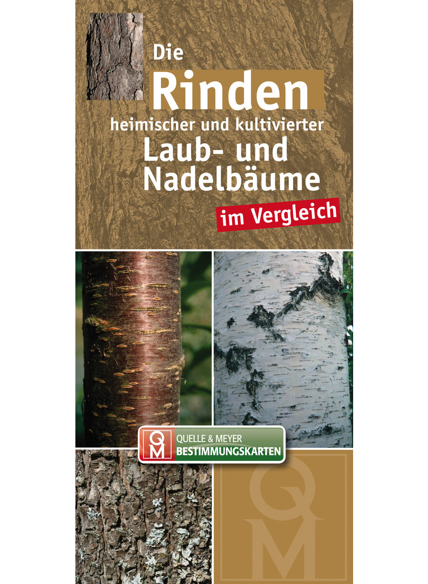 QUELLE & MEYER-BESTIMMUNGS- KARTEN: DIE RINDEN HEIM. U. KULT. LAUB- U. NADELBUME