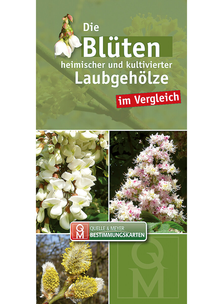 QUELLE& MEYER BESTIMMUNGS- KARTEN: BLTEN HEIMISCHER  LAUBGEHLZE IM VERGLEICH