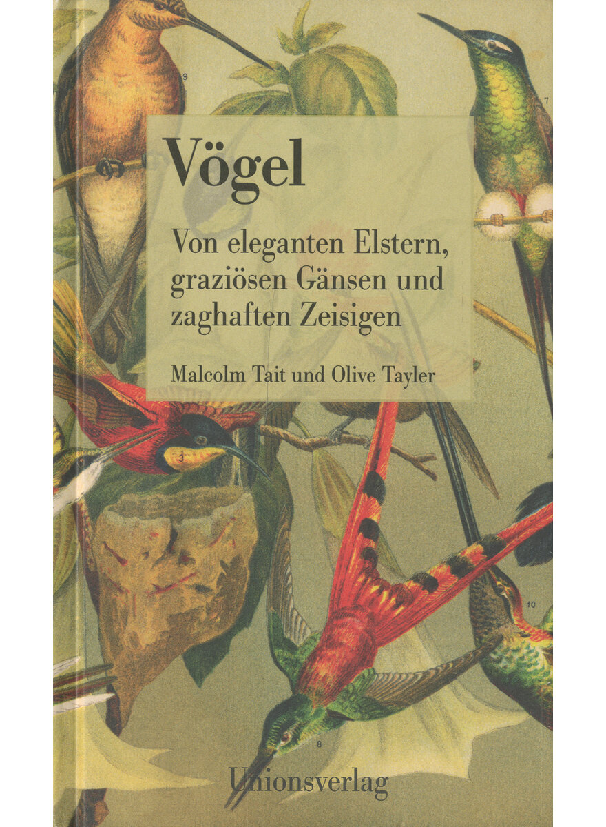 Auf diesem Bild sehen Sie das Produktbild 1 fr VGEL - TAIT/TAYLER
