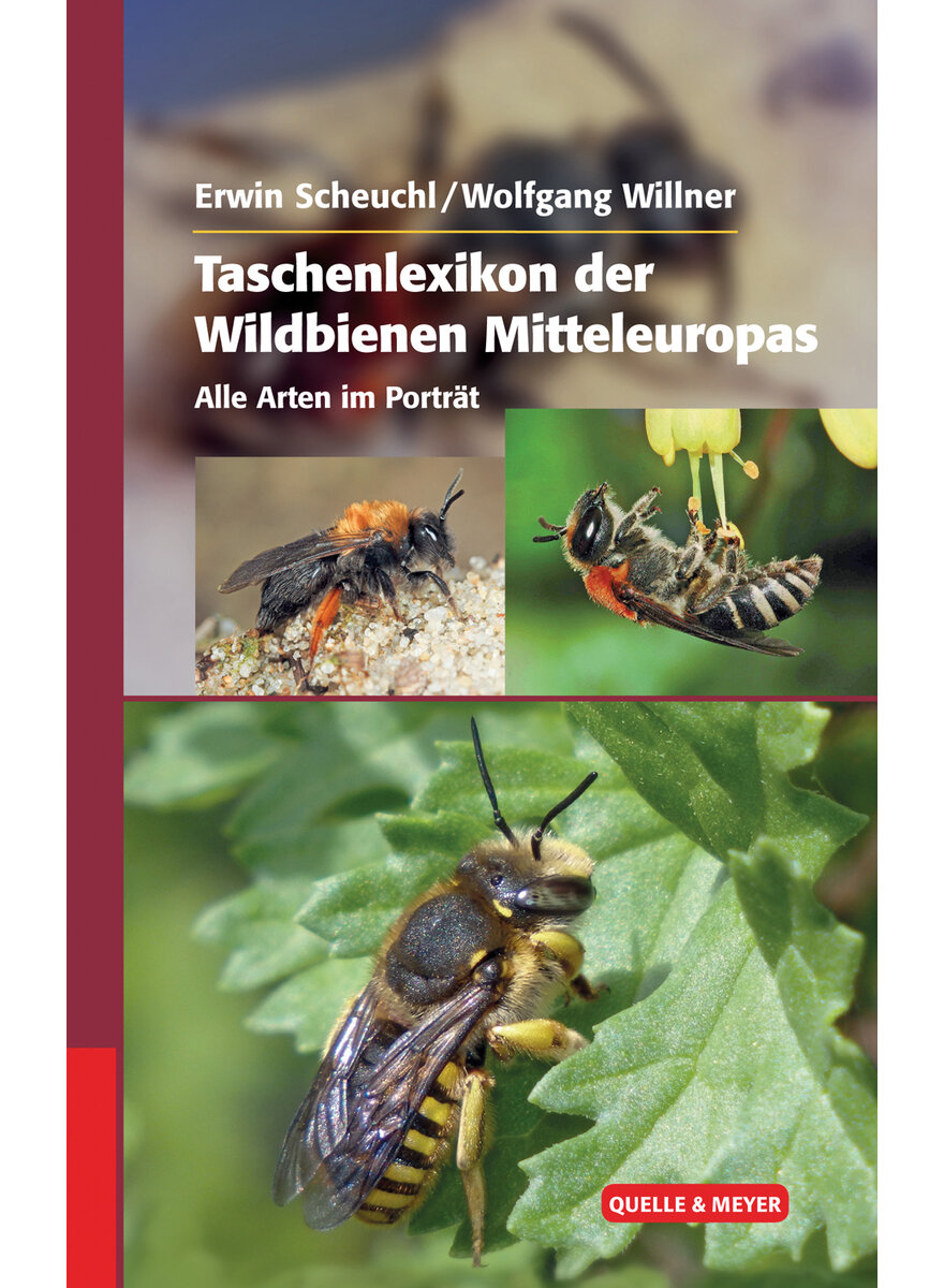 TASCHENLEXIKON DER WILDBIENEN MITTELEUROPAS - SCHEUCHL/WILLNER