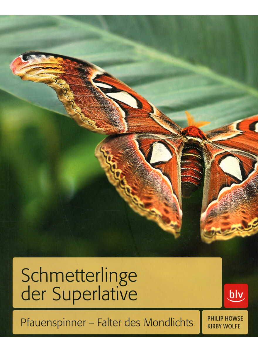 SCHMETTERLINGE DER SUPERLATIVE WOLFE/HOWSE