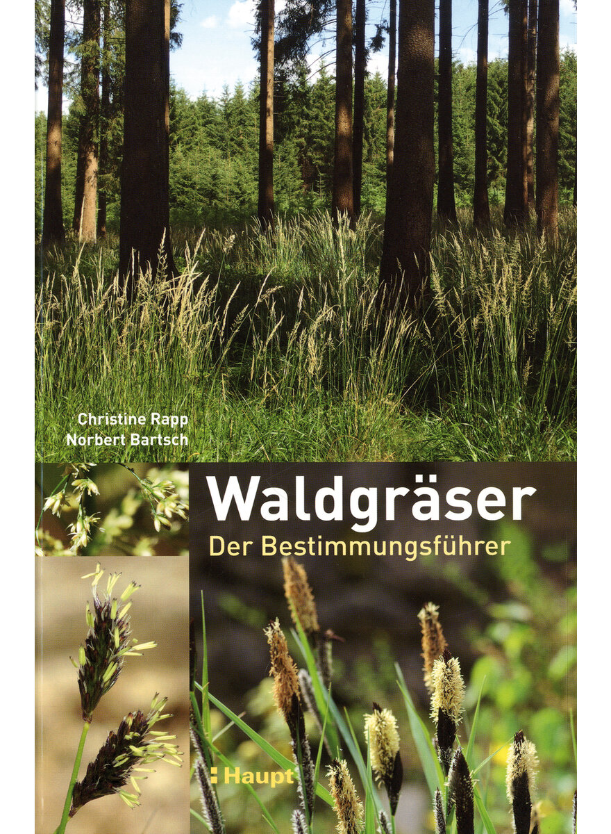 Auf diesem Bild sehen Sie das Produktbild 1 fr WALDGRSER - RAPP/BARTSCH