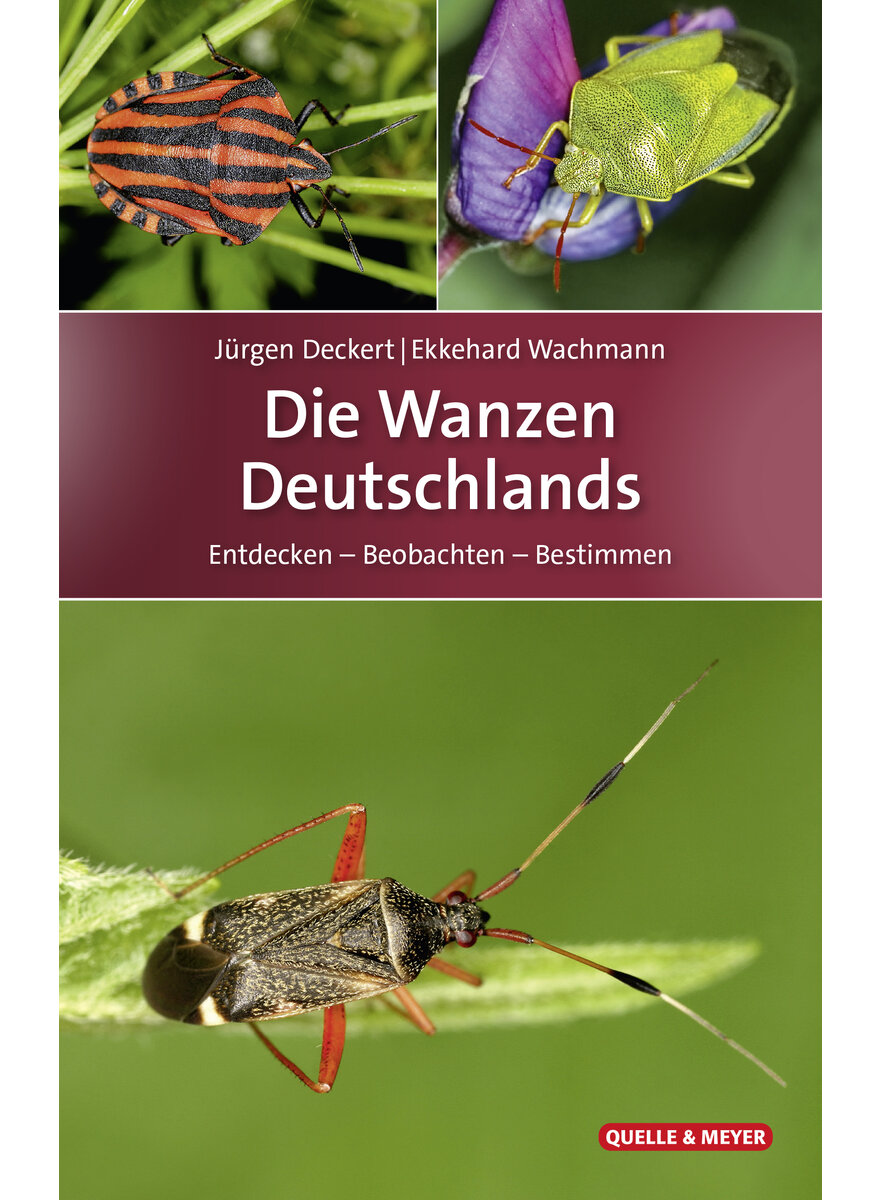 DIE WANZEN DEUTSCHLANDS - DECKERT/WACHMANN