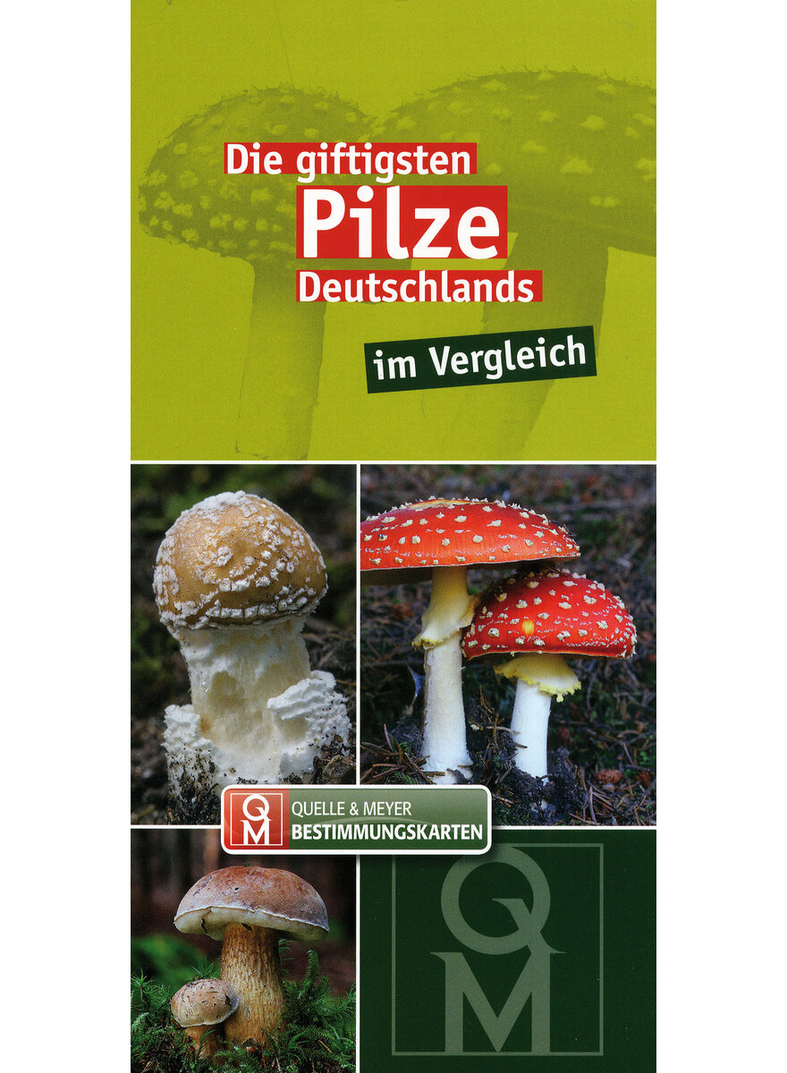 DIE GIFTIGSTEN PILZE DEUTSCH- LANDS IM VERGLEICH - Q&M BESTIMMUNGSKARTE