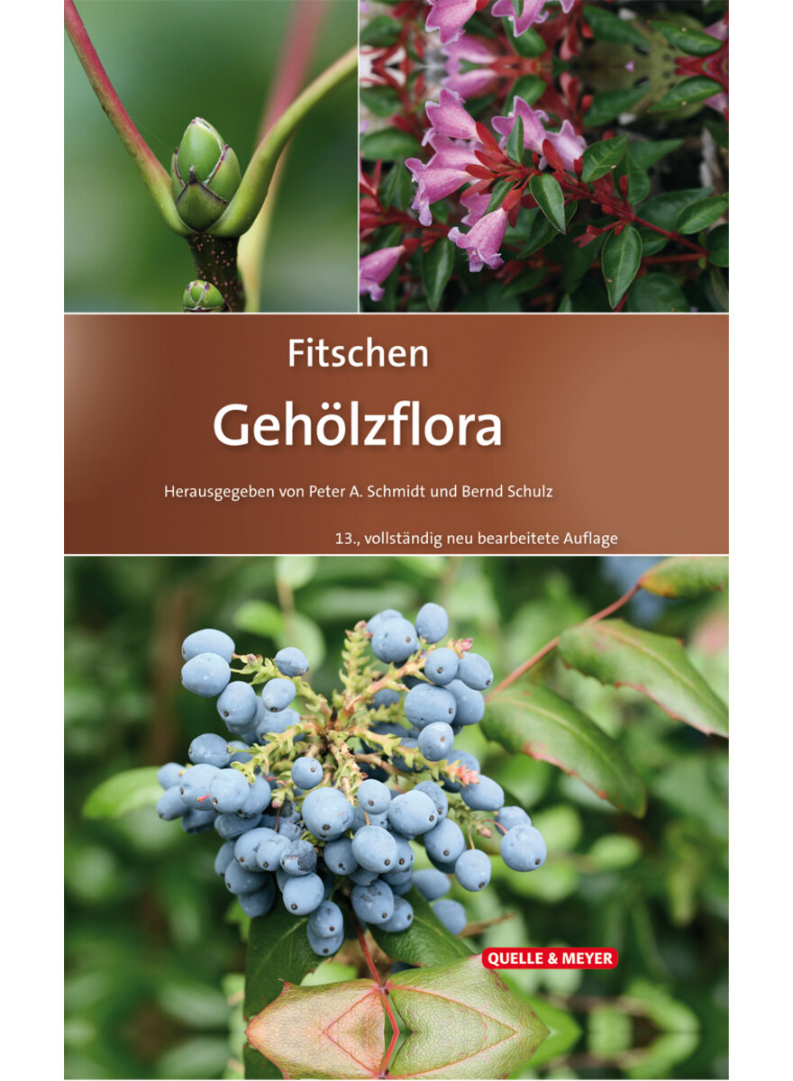 Auf diesem Bild sehen Sie das Produktbild 1 fr FITSCHEN - GEHLZFLORA - SCHMIDT/SCHULZ (HRSG.)