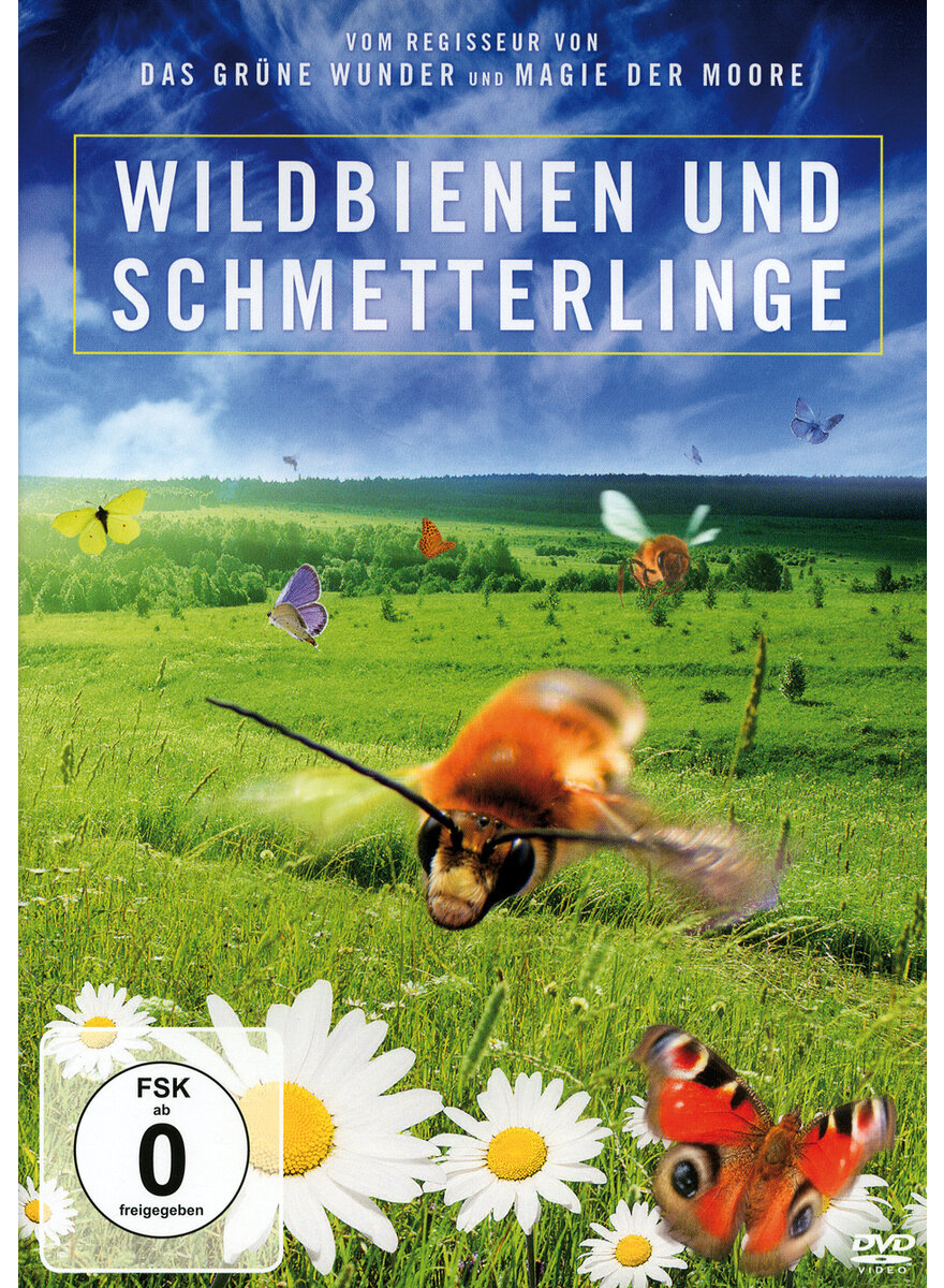 DVD-VIDEO WILDBIENEN UND SCHMETTERLINGE - JAN HAFT