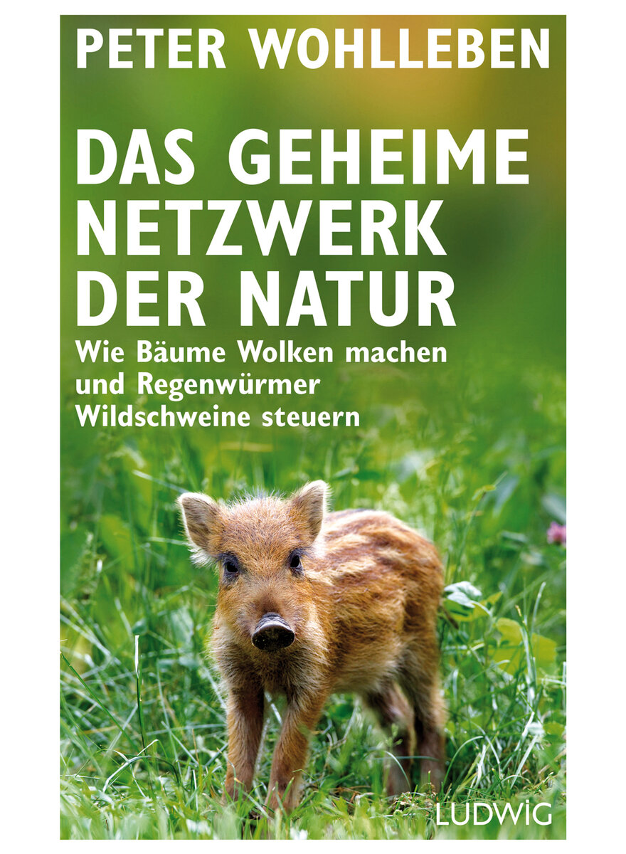 DAS GEHEIME NETZWERK DER NATUR - PETER WOHLLEBEN