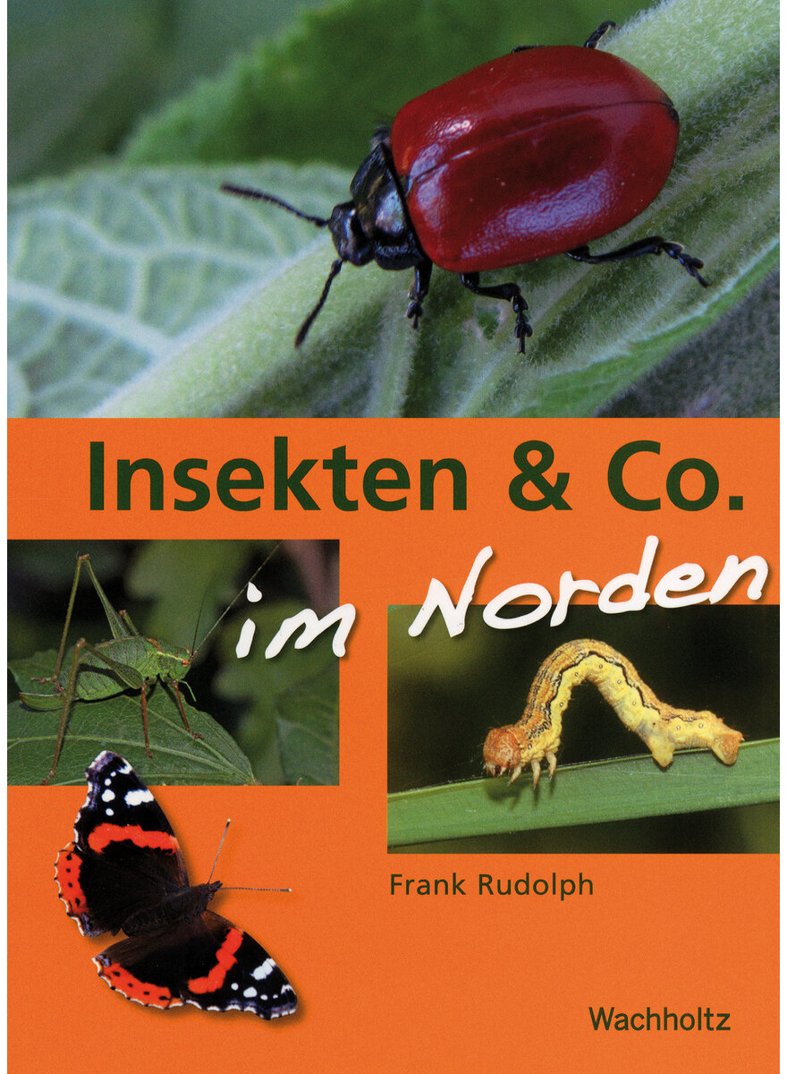 INSEKTEN & CO IM NORDEN - FRANK RUDOLPH