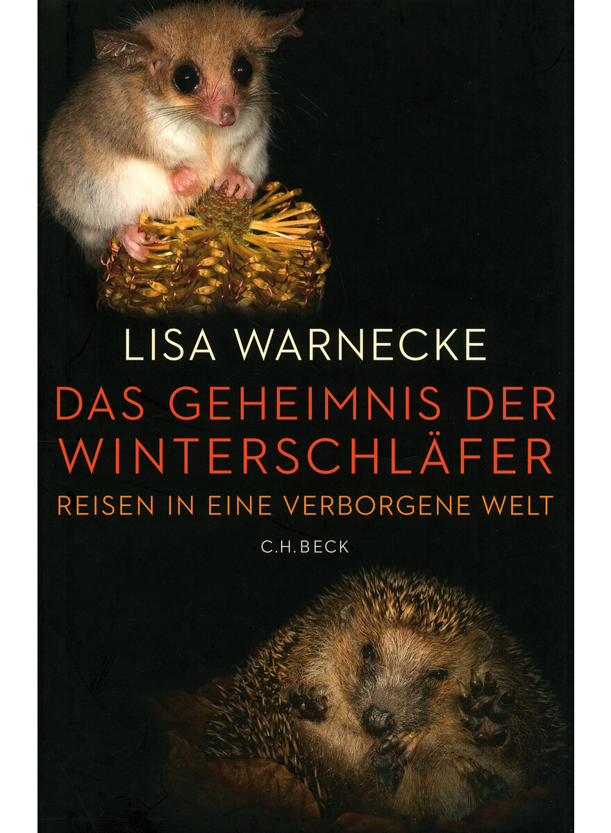 DAS GEHEIMNIS DER WINTERSCHLFER - LISA WARNECKE