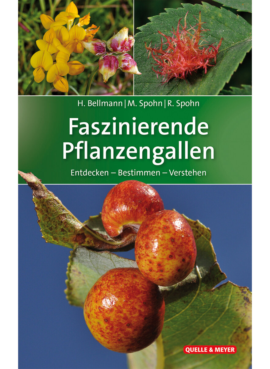 FASZINIERENDE PFLANZENGALLEN - BELLMANN/SPOHN/SPOHN