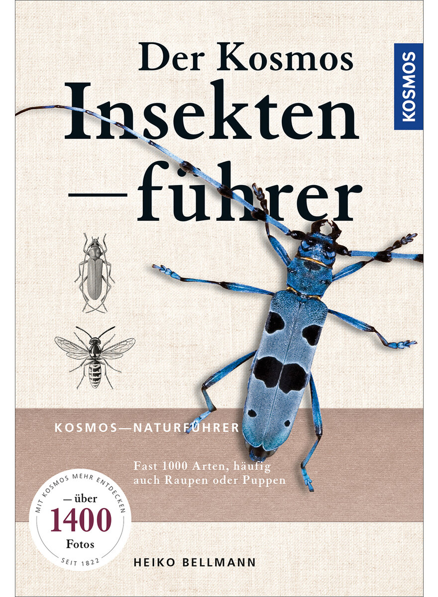 Auf diesem Bild sehen Sie das Produktbild 1 fr DER KOSMOS INSEKTENFHRER - HEIKO BELLMANN