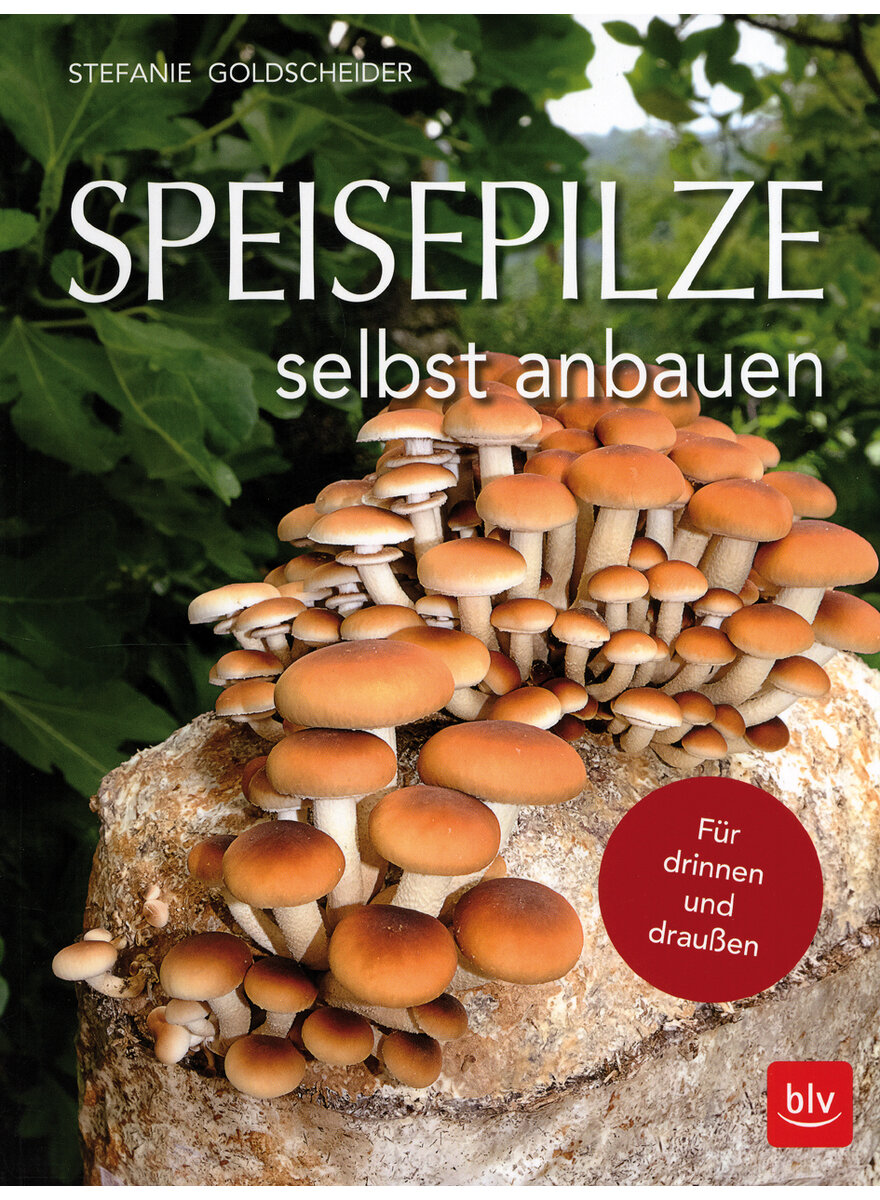 SPEISEPILZE SELBST ANBAUEN - STEFANIE GOLDSCHEIDER